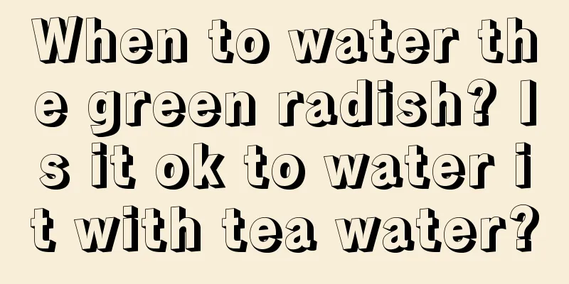 When to water the green radish? Is it ok to water it with tea water?