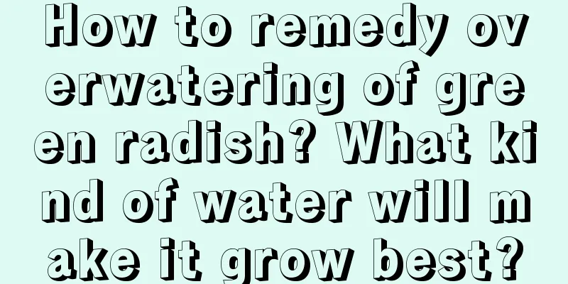 How to remedy overwatering of green radish? What kind of water will make it grow best?