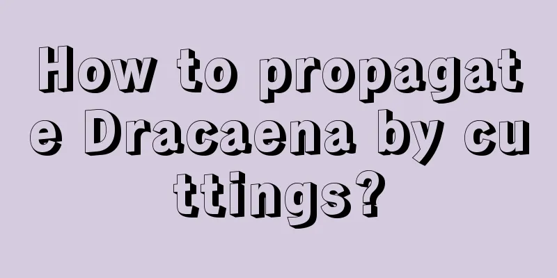 How to propagate Dracaena by cuttings?