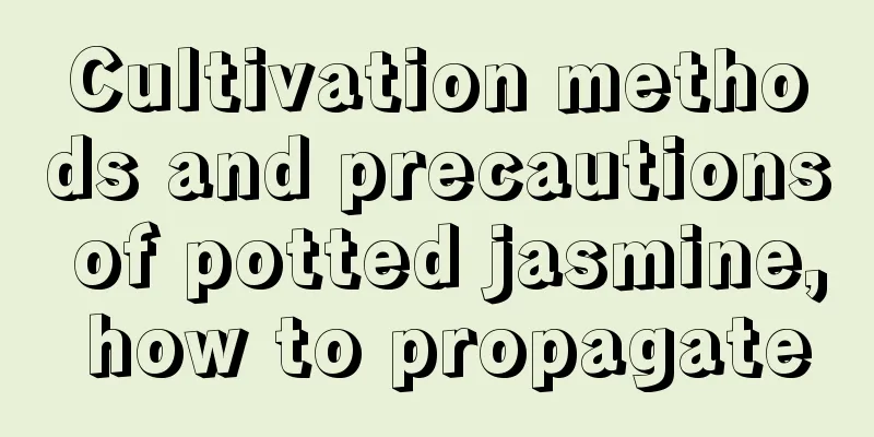 Cultivation methods and precautions of potted jasmine, how to propagate