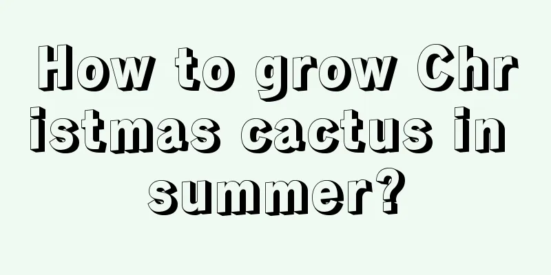 How to grow Christmas cactus in summer?