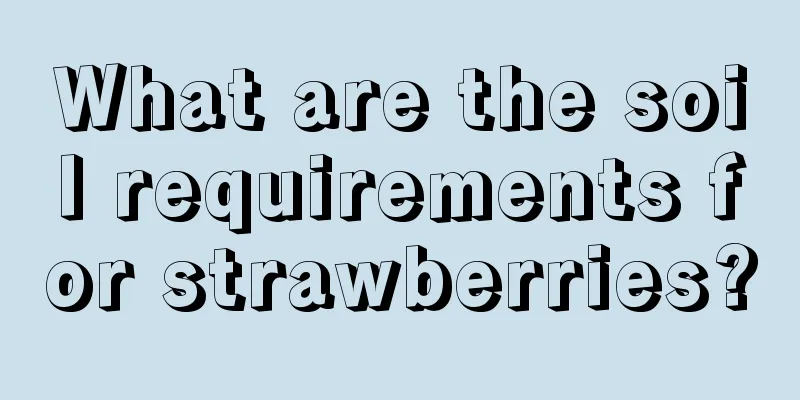 What are the soil requirements for strawberries?