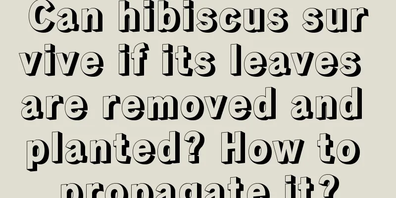 Can hibiscus survive if its leaves are removed and planted? How to propagate it?