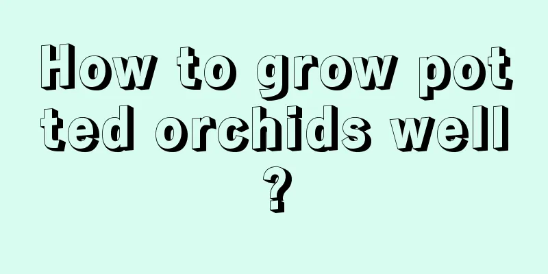 How to grow potted orchids well?