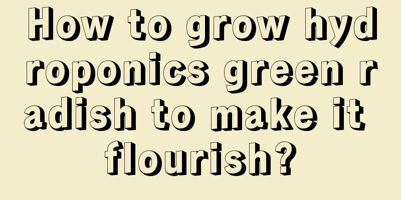 How to grow hydroponics green radish to make it flourish?