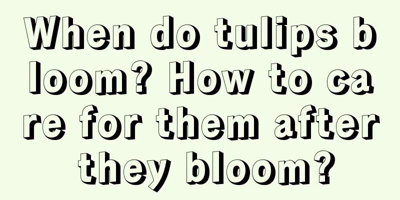 When do tulips bloom? How to care for them after they bloom?