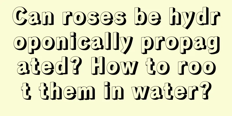 Can roses be hydroponically propagated? How to root them in water?