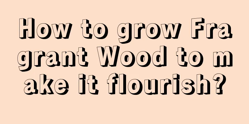 How to grow Fragrant Wood to make it flourish?