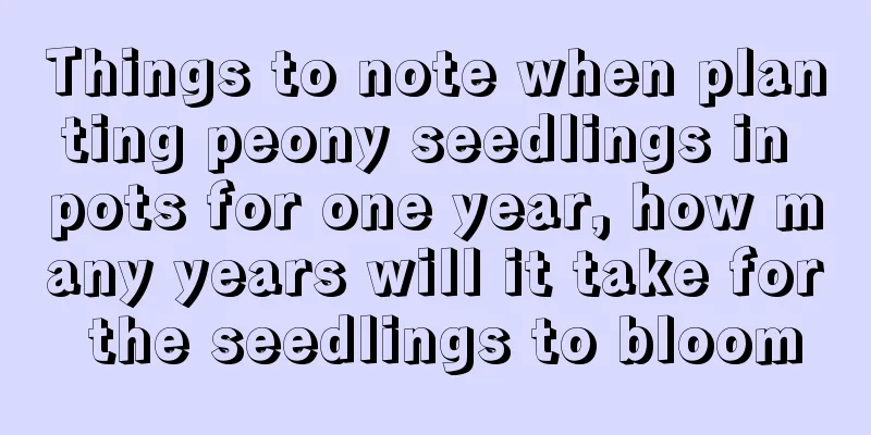 Things to note when planting peony seedlings in pots for one year, how many years will it take for the seedlings to bloom