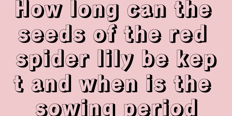 How long can the seeds of the red spider lily be kept and when is the sowing period