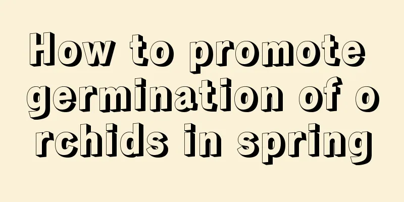 How to promote germination of orchids in spring