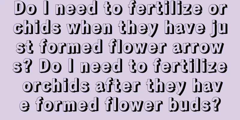 Do I need to fertilize orchids when they have just formed flower arrows? Do I need to fertilize orchids after they have formed flower buds?