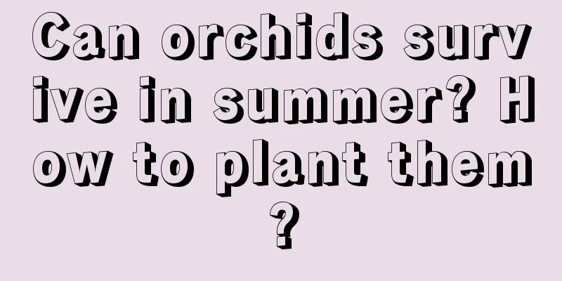 Can orchids survive in summer? How to plant them?