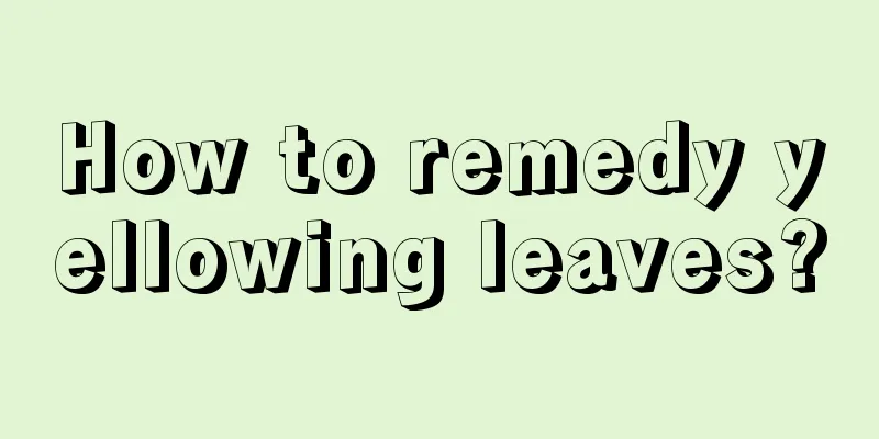 How to remedy yellowing leaves?