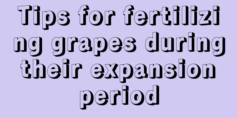 Tips for fertilizing grapes during their expansion period