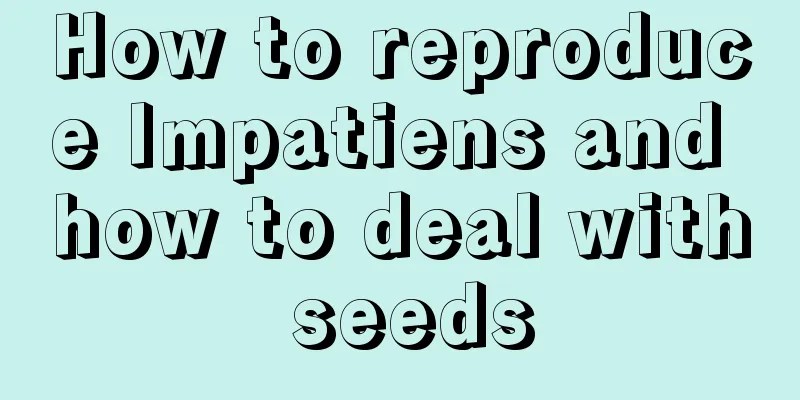 How to reproduce Impatiens and how to deal with seeds