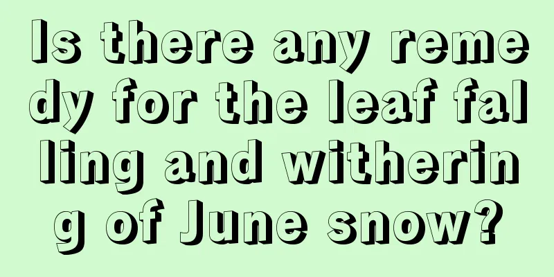 Is there any remedy for the leaf falling and withering of June snow?