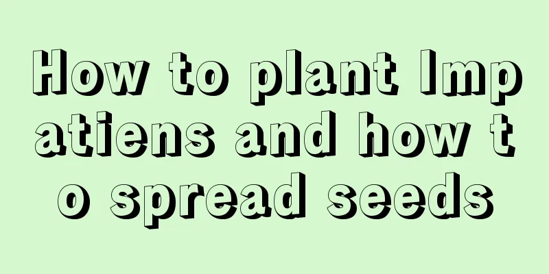 How to plant Impatiens and how to spread seeds