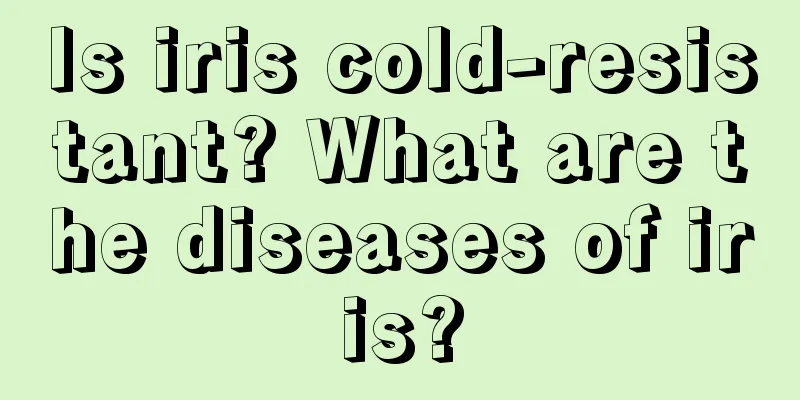 Is iris cold-resistant? What are the diseases of iris?