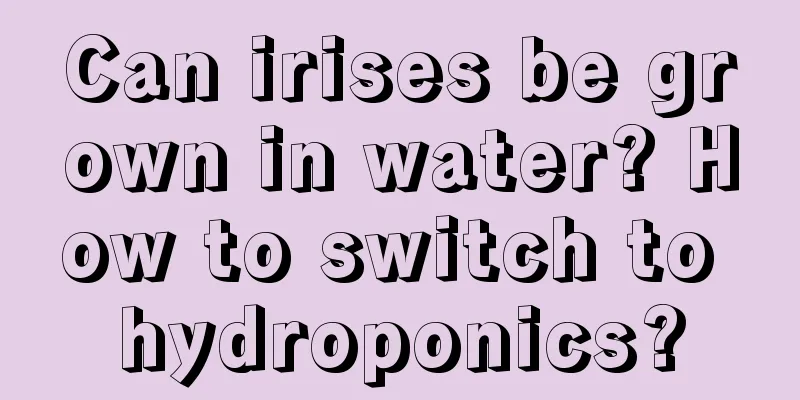 Can irises be grown in water? How to switch to hydroponics?