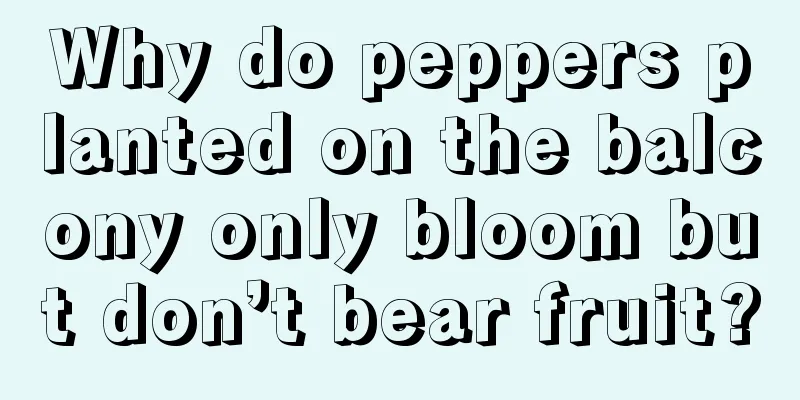 Why do peppers planted on the balcony only bloom but don’t bear fruit?