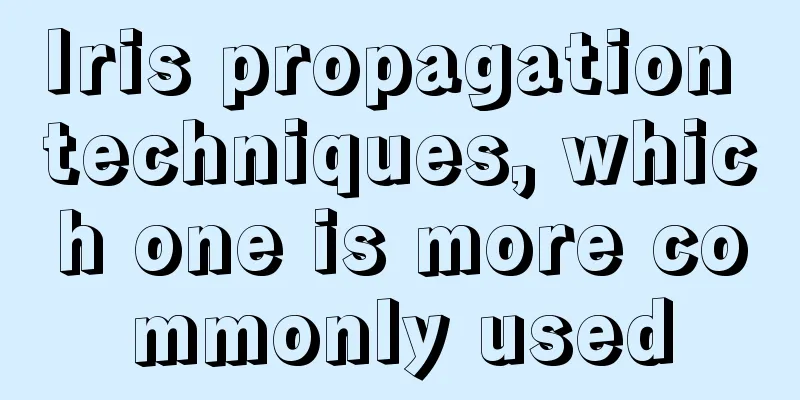 Iris propagation techniques, which one is more commonly used