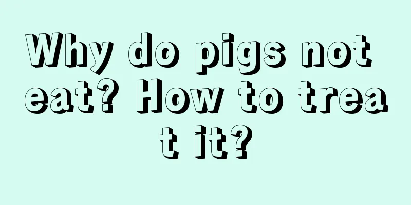 Why do pigs not eat? How to treat it?