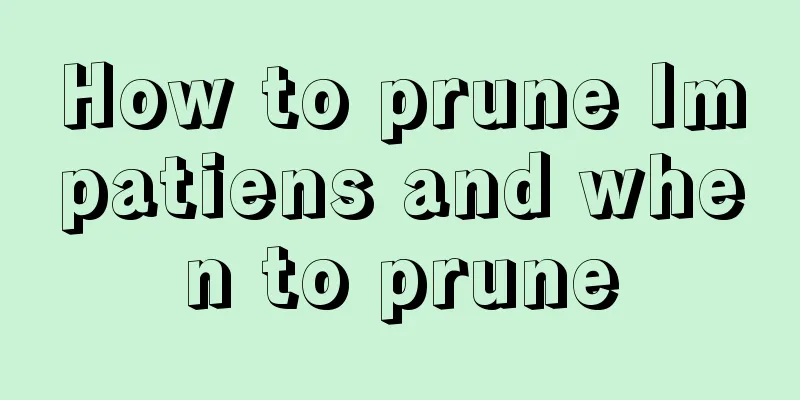 How to prune Impatiens and when to prune