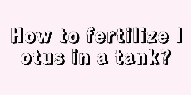 How to fertilize lotus in a tank?