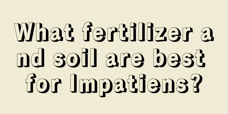 What fertilizer and soil are best for Impatiens?