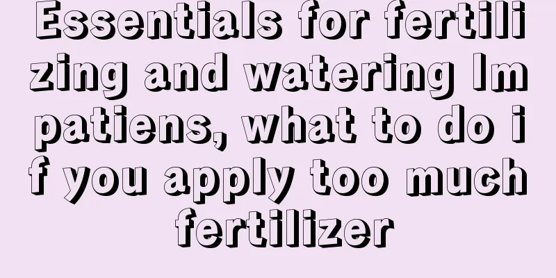 Essentials for fertilizing and watering Impatiens, what to do if you apply too much fertilizer