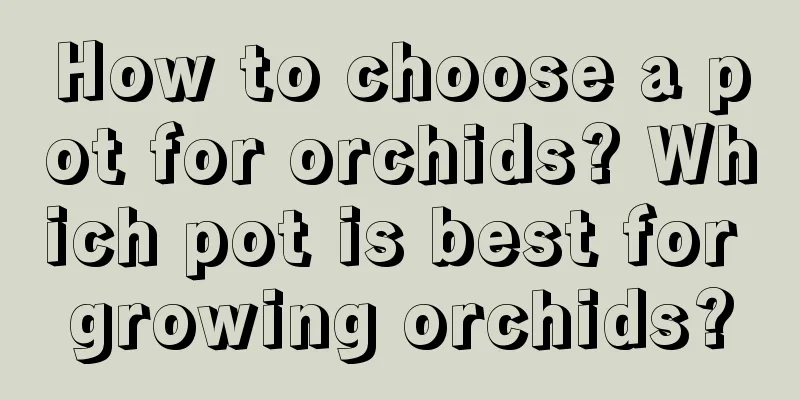 How to choose a pot for orchids? Which pot is best for growing orchids?