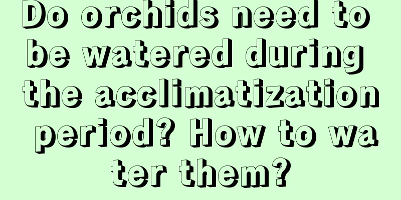 Do orchids need to be watered during the acclimatization period? How to water them?