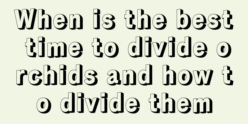 When is the best time to divide orchids and how to divide them
