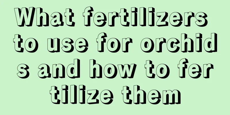 What fertilizers to use for orchids and how to fertilize them