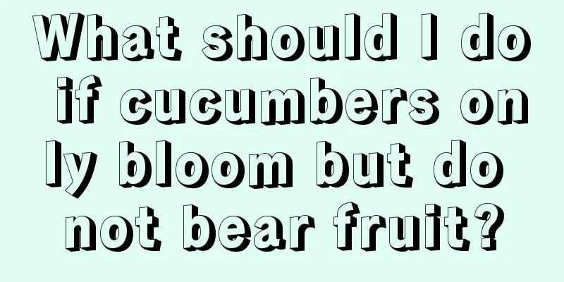 What should I do if cucumbers only bloom but do not bear fruit?