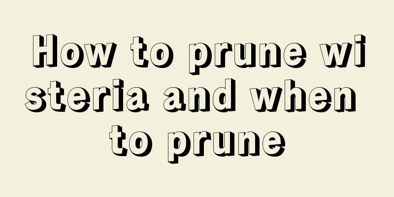 How to prune wisteria and when to prune