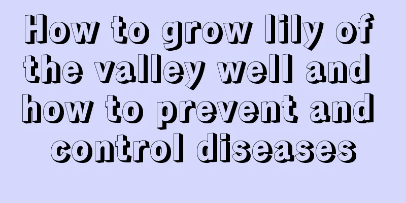 How to grow lily of the valley well and how to prevent and control diseases