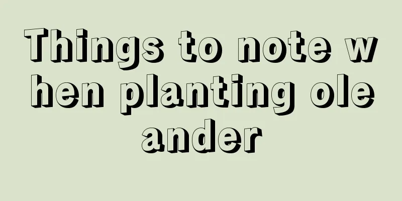 Things to note when planting oleander