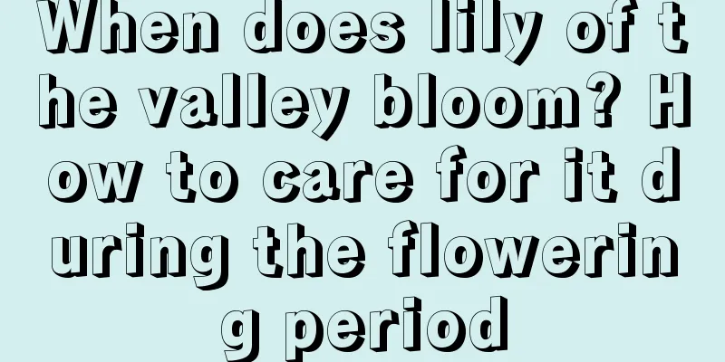 When does lily of the valley bloom? How to care for it during the flowering period