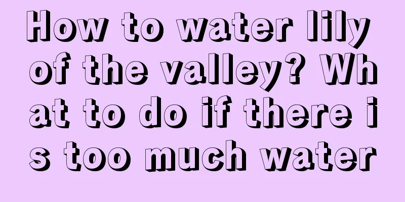 How to water lily of the valley? What to do if there is too much water