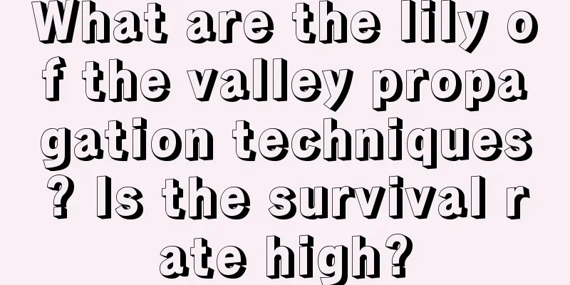 What are the lily of the valley propagation techniques? Is the survival rate high?