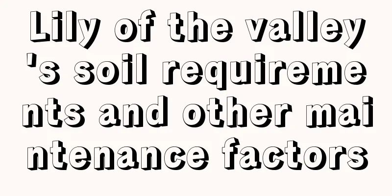 Lily of the valley's soil requirements and other maintenance factors