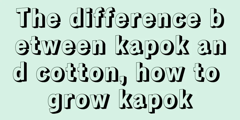 The difference between kapok and cotton, how to grow kapok