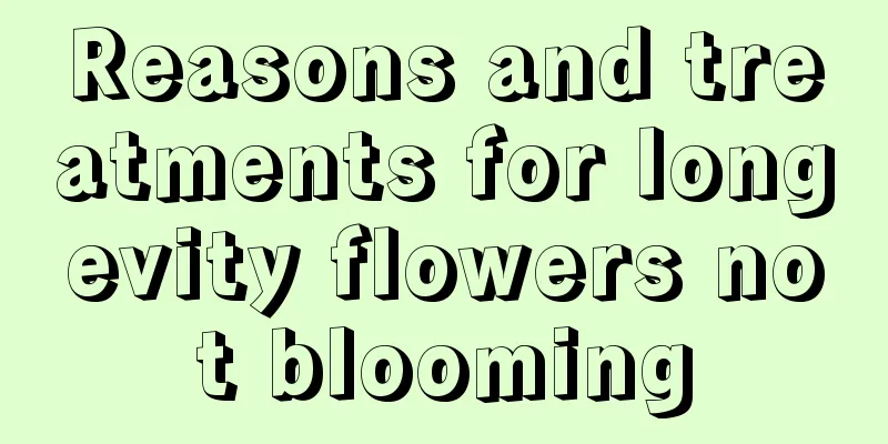 Reasons and treatments for longevity flowers not blooming