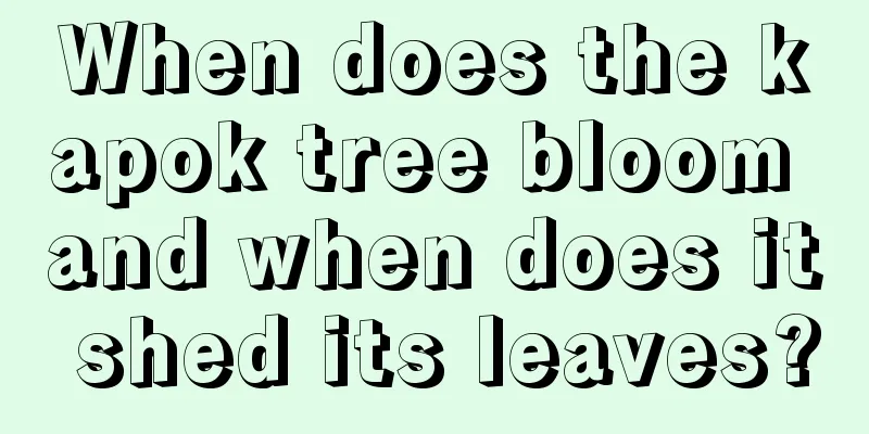 When does the kapok tree bloom and when does it shed its leaves?