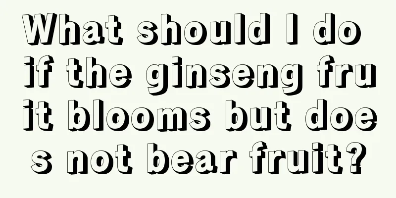 What should I do if the ginseng fruit blooms but does not bear fruit?