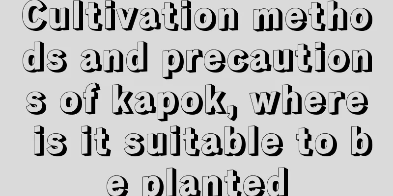 Cultivation methods and precautions of kapok, where is it suitable to be planted