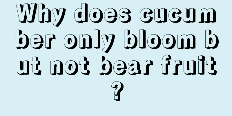 Why does cucumber only bloom but not bear fruit?