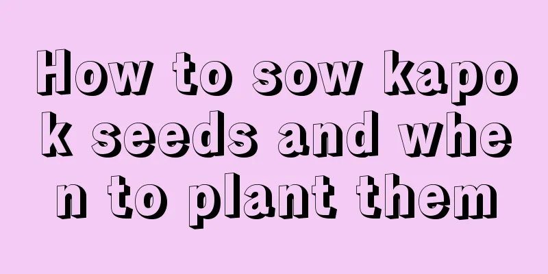 How to sow kapok seeds and when to plant them